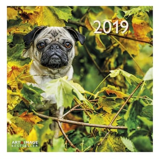 Te Neues - Pok Editions | Calendrier | carlin | 2019 