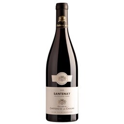 Santenay Chaume | Pinot noir | 2020 Rood
