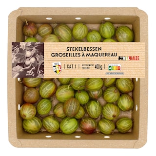 Delhaize | Baies de germes 
