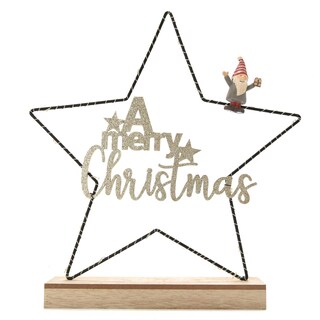 Delhaize | Metalen ster | led 