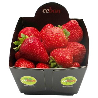 Cebon | Cebon Aardbei 