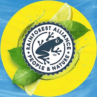 Lipton | Green Tea | Ice Tea | Non pétillant | Vert | Sans Sucre 6 x 50 cl