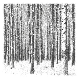 Servetten | Birch Grey | 33x33cm