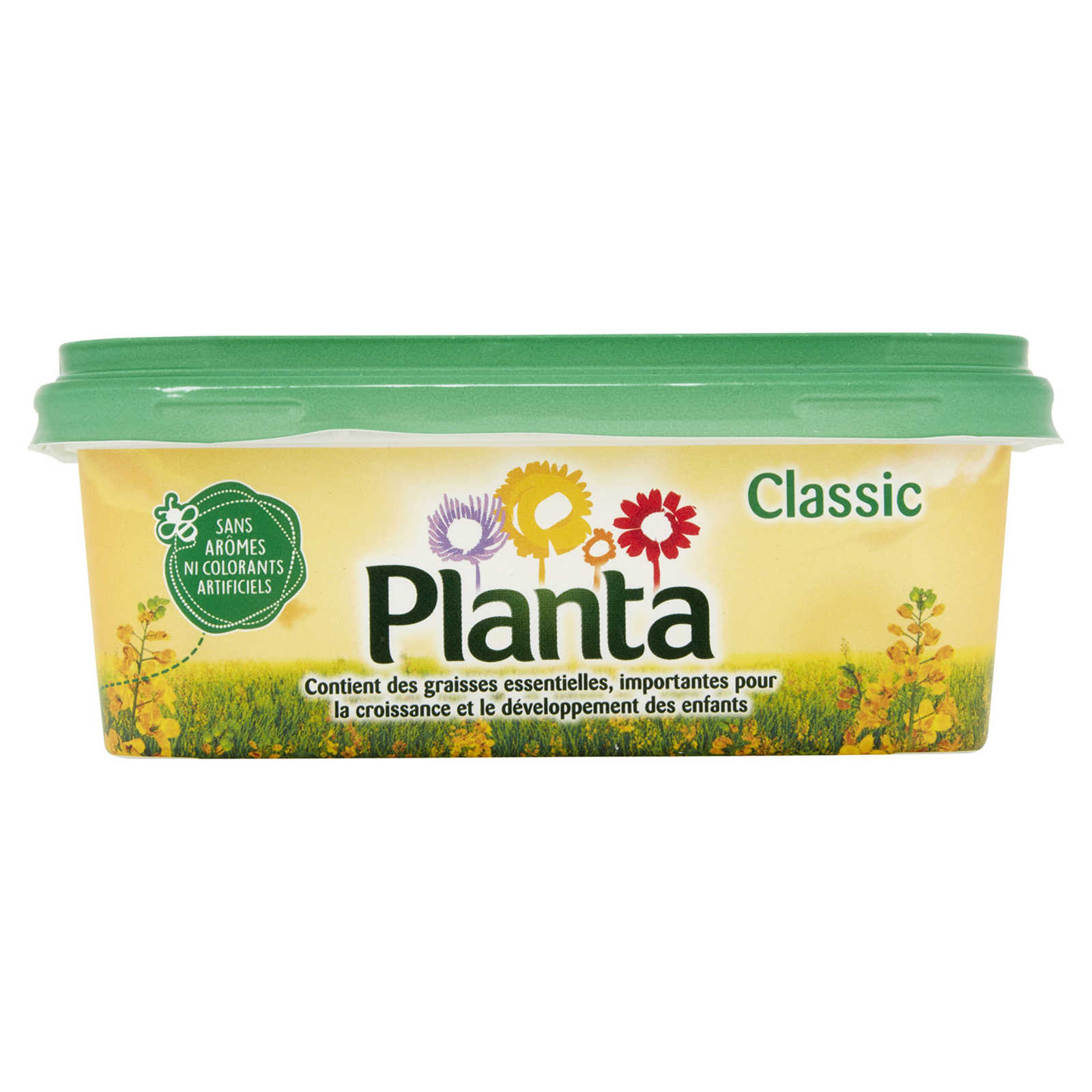 Planta