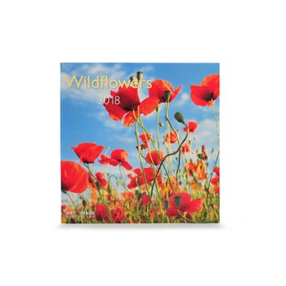 Te Neues - Pok Editions | Calendrier | Fleurs sauvages | 2019 | 30 x 30 cm 