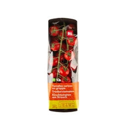 Delhaize | Kerstomaten | Tros 
