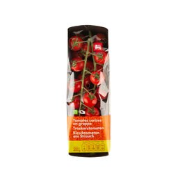 Delhaize | Kerstomaten | Tros 