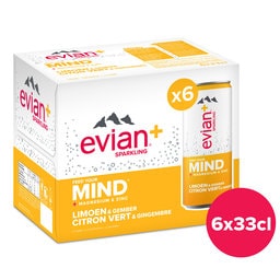 Evian+ | Citron Vert Gingembre | Mang Zinc | PET