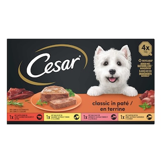 Cesar