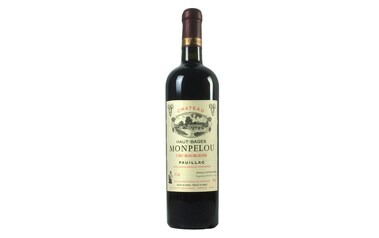 France - Frankrijk-Bordeaux - Pauillac