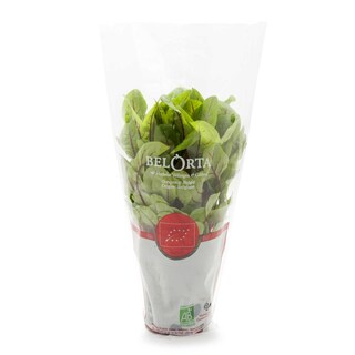Delhaize | Bio | BIO | OSEILLE ROUGE 