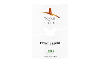 Italie-Italïe | Lombardia | Torrae Del Sale Pinot Grigio W Bio | Bio 
