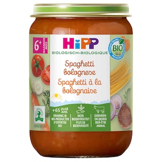 Hipp | Maaltijd | Spaghetti Bolognese | 6M | Bio 