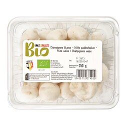 Champignons  blancs | Belges | Bio