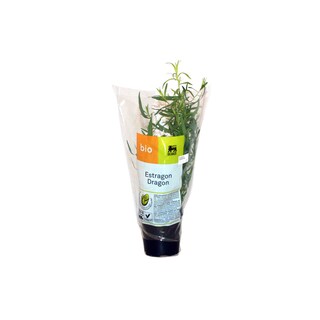Delhaize | Bio | Dragon | Verpakte pot | Bio 