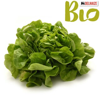 Delhaize | Bio | Feuille de laitue verte | Bio 
