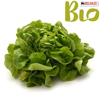 Delhaize | Bio | Feuille de laitue verte | Bio 