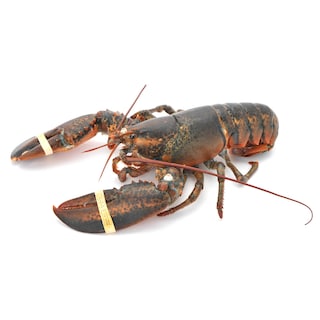 Delhaize | Homard 