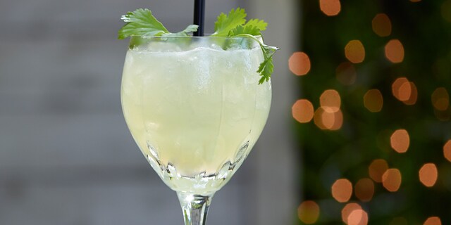 Coriander Gin Smash