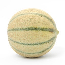 Me­lons Ga­lia
