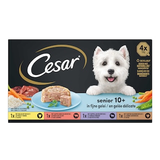 Cesar | Aliment Chien | Senior 10+ | Multipack 