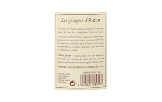 France - Frankrijk | Rhône - Côtes du Rhône | Les Grappes d'Antan 2018 | BIO 