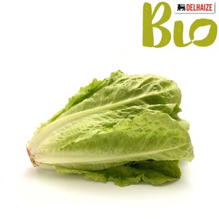 Delhaize | Bio | Romeinse sla | Bio 