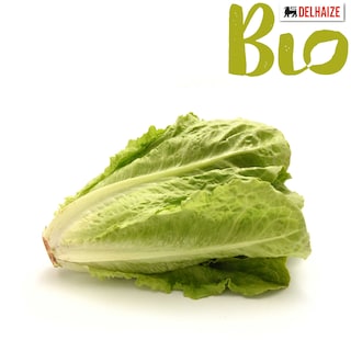 Delhaize | Bio | Romeinse sla | Bio 