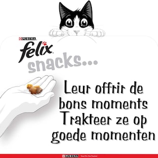 Felix | Party Mix | Kattensnacks | Adult | Snacks | Grill 