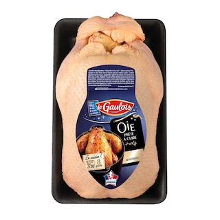 LE GAULOIS | OIE 