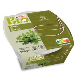Soupe | cerfeuil 600G | Bio