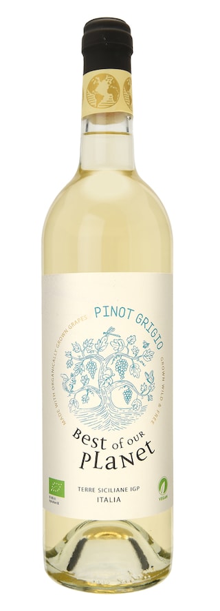 Italie - Italië | SICILIA IGP | Best Of Our Planet Pinot Grigio 2019 | BIO 