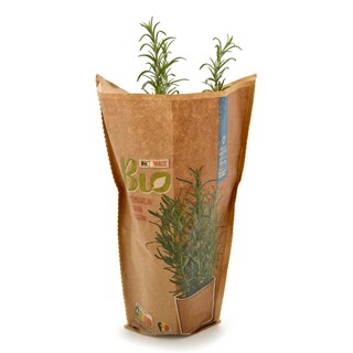 Delhaize | Bio | Rozemarijn | Pot | Bio 