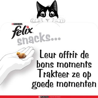 Felix | Party Mix | Kattensnacks | Adult | Snacks | Seaside Mix 60 gr
