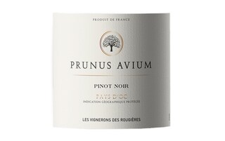 Prunus Avium | Pays d'Oc | Pinot Noir | 2022 