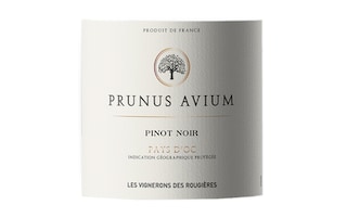 Prunus Avium | Pays d'Oc | Pinot Noir | 2022 75 cl