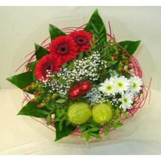 Delhaize | OSTEOSPERNUM 12CM 