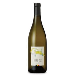 Witte wijn