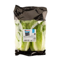 Sa­lades et lé­gumes-feuilles