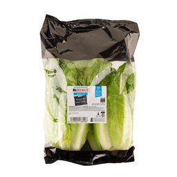 Sa­lades et lé­gumes-feuilles