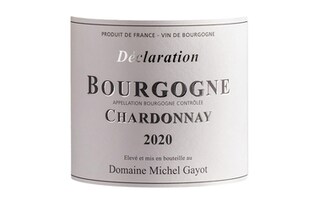 France - Frankrijk | Bourgogne | Bourgogne Domaine Gayot 2020 Wit 