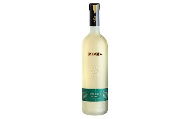 Italie - Italië-Vipra Bianca