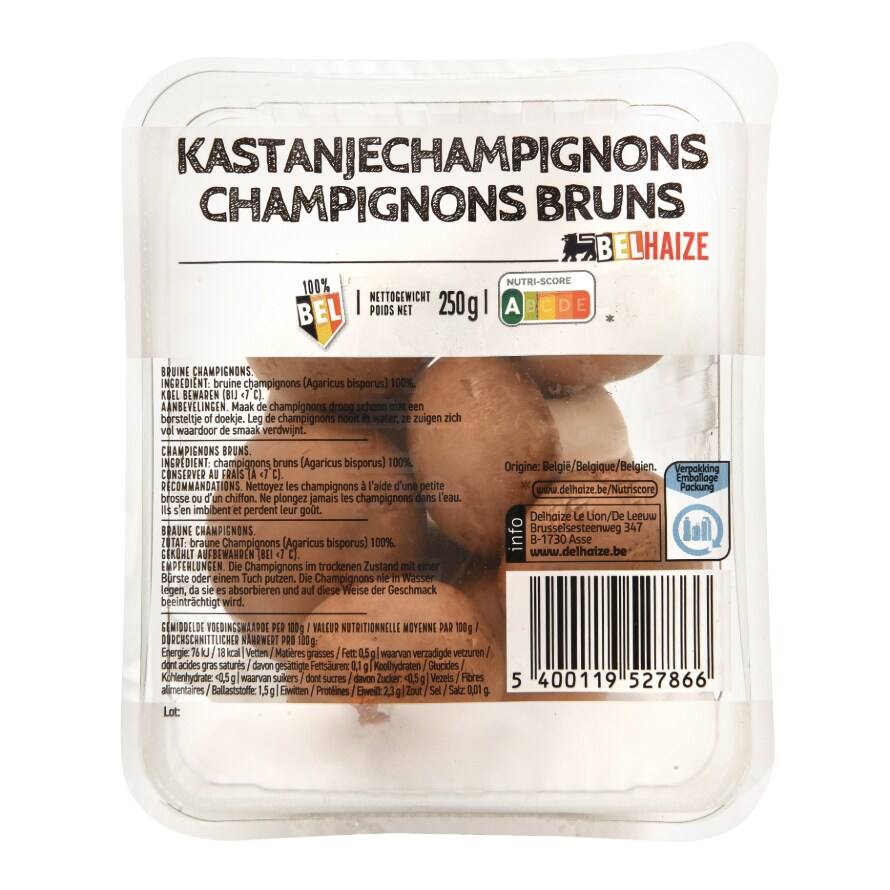 Champignons bruns