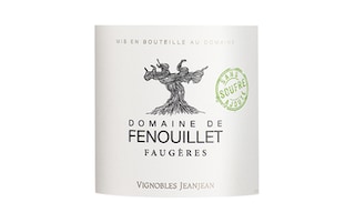 France - Frankrijk | Coteaux du Languedoc | Domaine de Fenouillet 2018 | Zonder sulfiet 