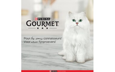 Gourmet