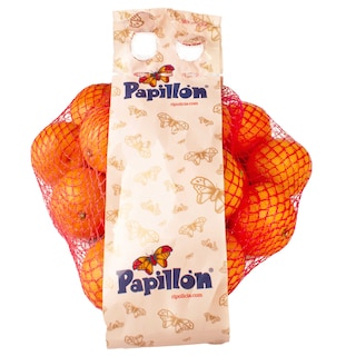 Papillon | Klementijnen 