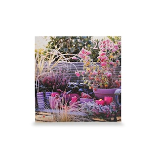 Te Neues - Pok Editions | Kalender | Tuin & Deco | 2019 | 30 x 30 cm 