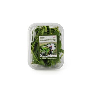 Delhaize | Lamsoor 