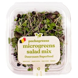 Micropousses salade mix