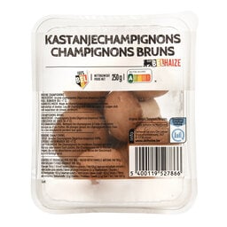 Champignons bruns | Belges